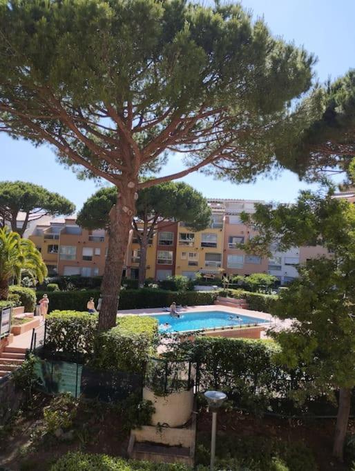 Studio 4 Couchages Avec Piscine D'Ete Vue Port Agde Exteriér fotografie